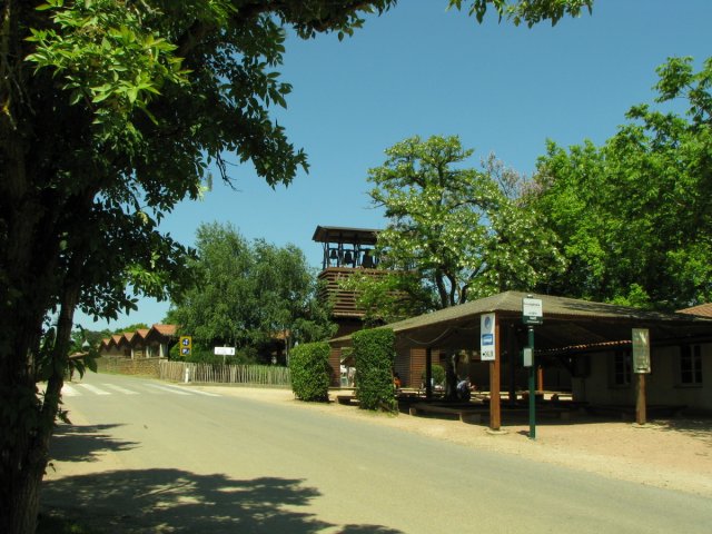 20130606_145012_img_3850