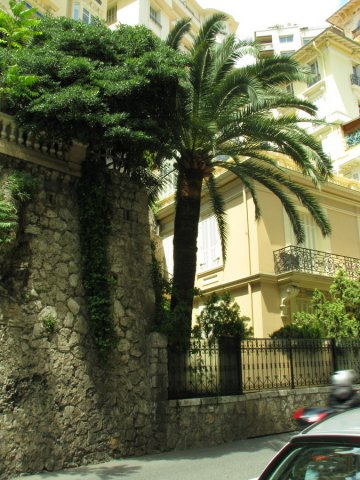 20130610_140436_img_4575