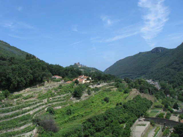 20130611_145852_img_4899