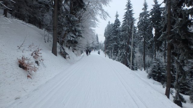 20170208_120456_P2080389