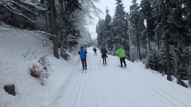 20170208_120540_P2080395