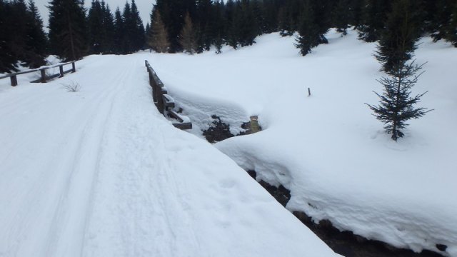 20170208_125408_P2080407