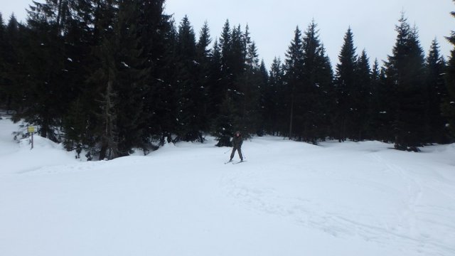 20170208_125546_P2080410