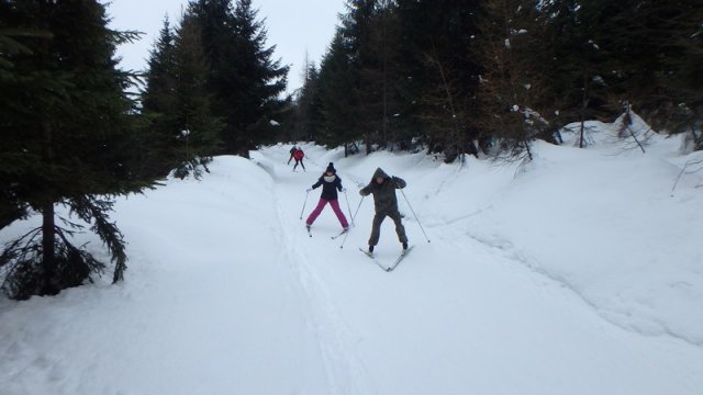 20170208_130208_P2080417