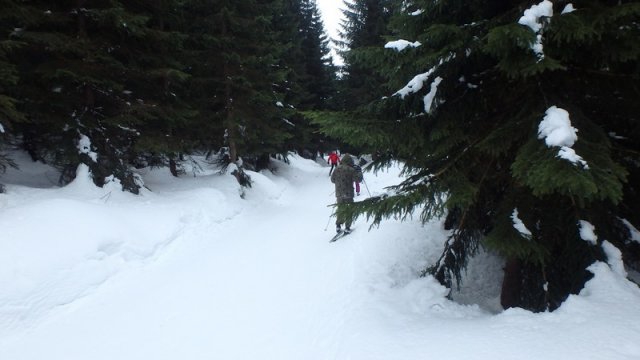 20170208_130248_P2080419