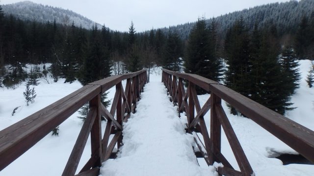 20170208_130632_P2080422