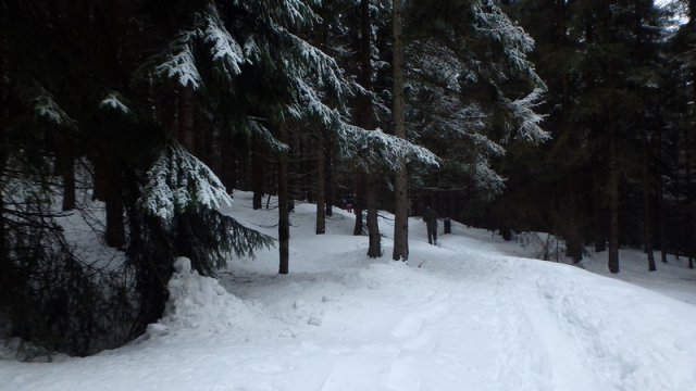 20170208_132736_P2080455