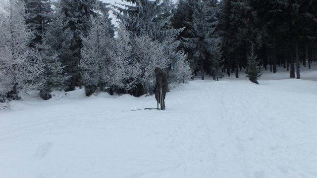 20170208_133214_P2080461